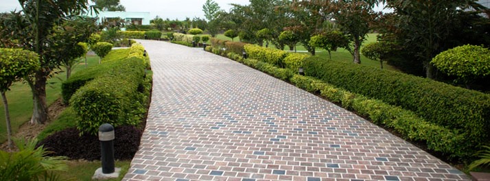 1815/City Park Resorts - Moga 03.jpg